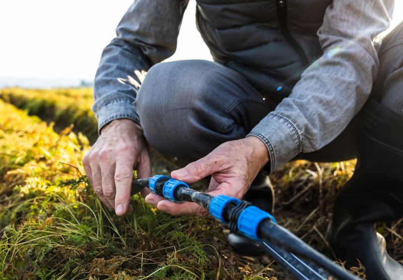 Regional Climate Conditions